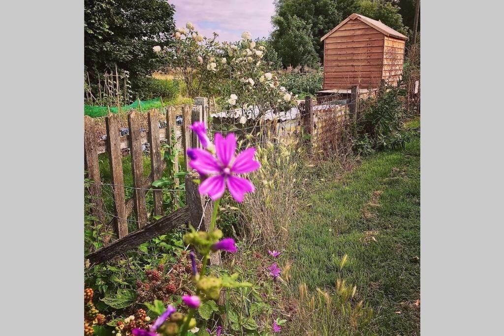 Melford Allotment Shed-Vintage Lodge Suffolk Лонг Мелфорд Экстерьер фото